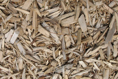 biomass boilers Aridhglas